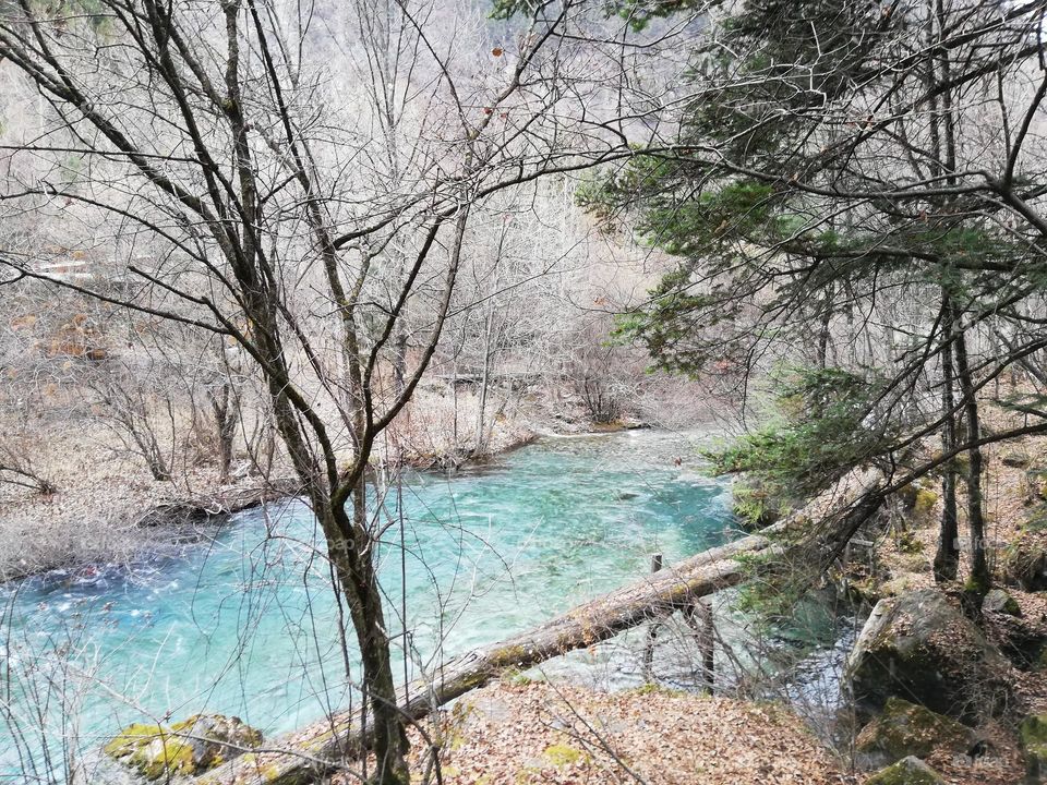 Beauty of the river in winter 