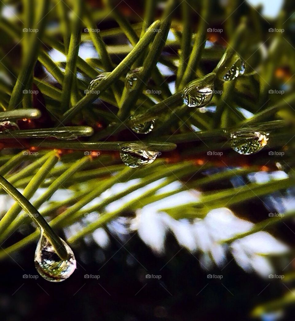 Water drops