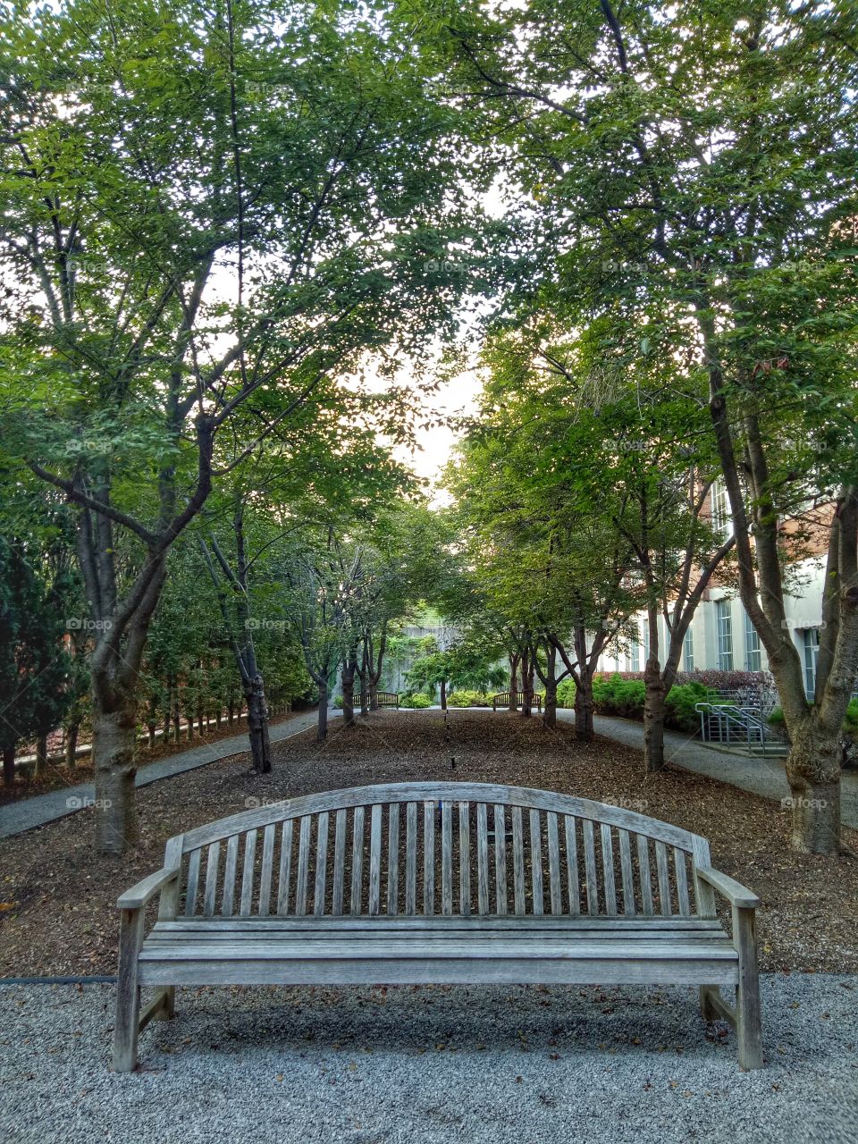 Single long light blue bench with trees background. Daytime, sky, peaceful place. 