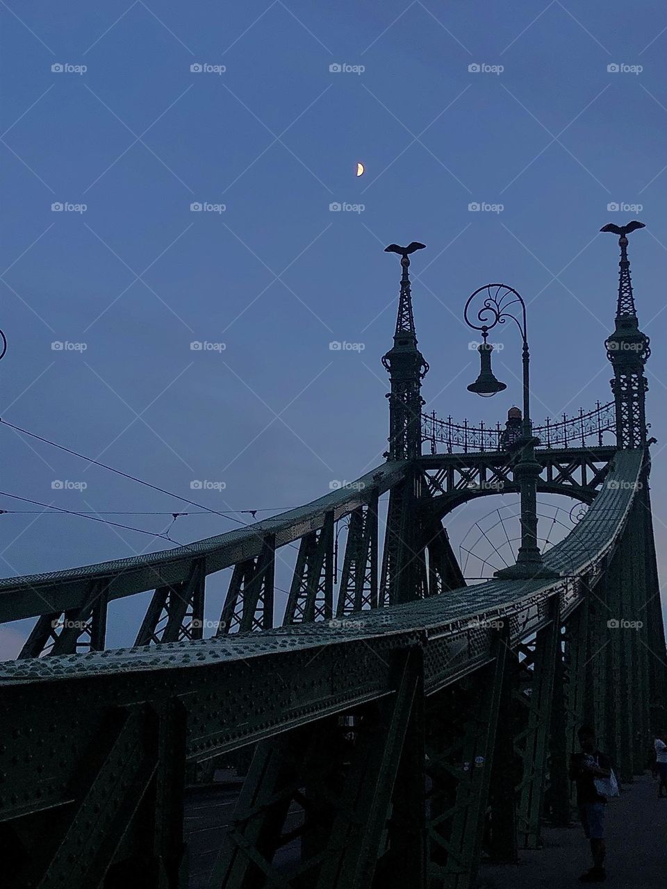 Silhouette of bridge at night with moon