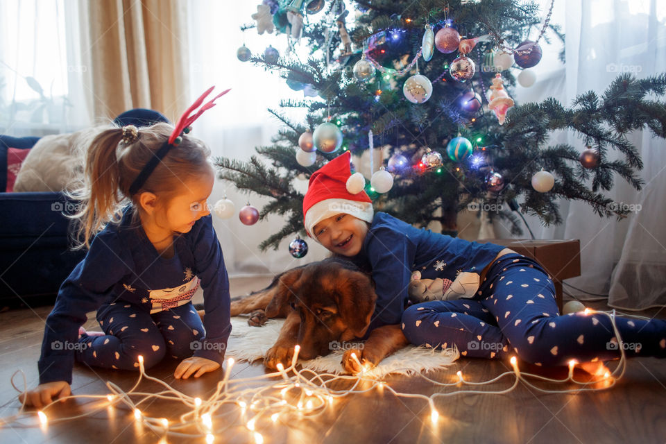 Little sisters with German shepherd puppy near Christmas tree 