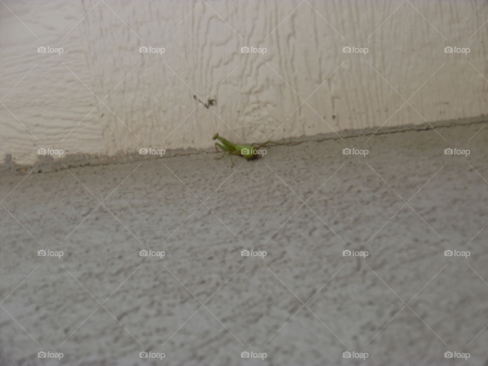 Praying, getting right with Jesus