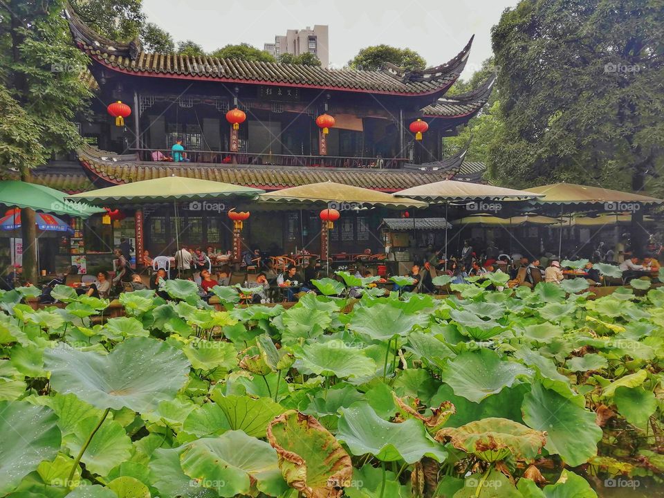 Chinese architecture