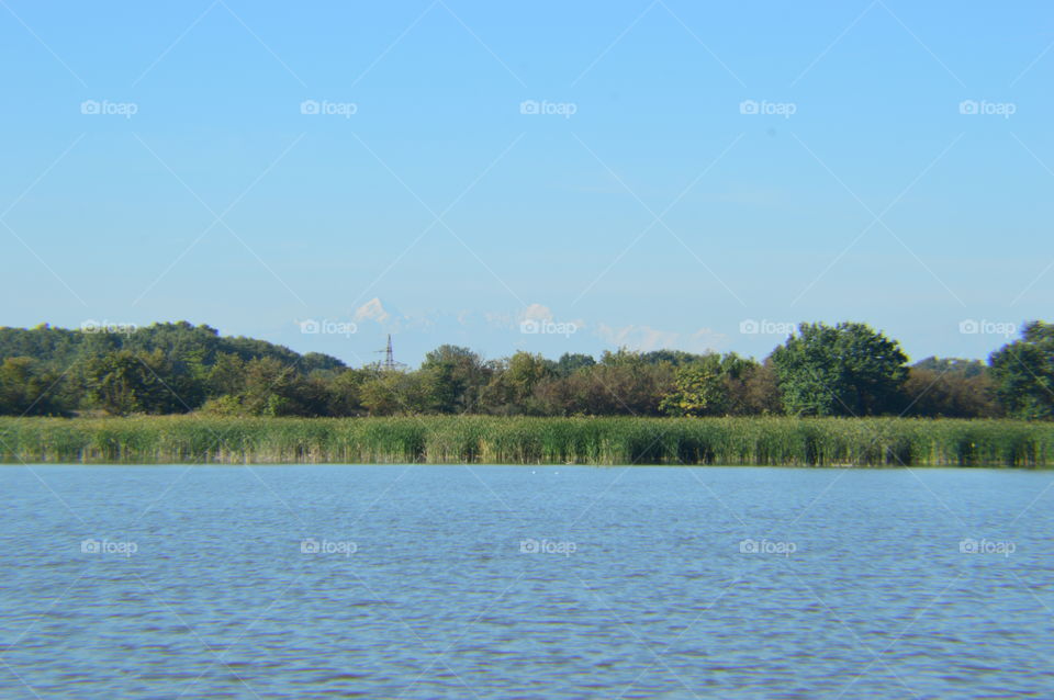 lake forest and mountains