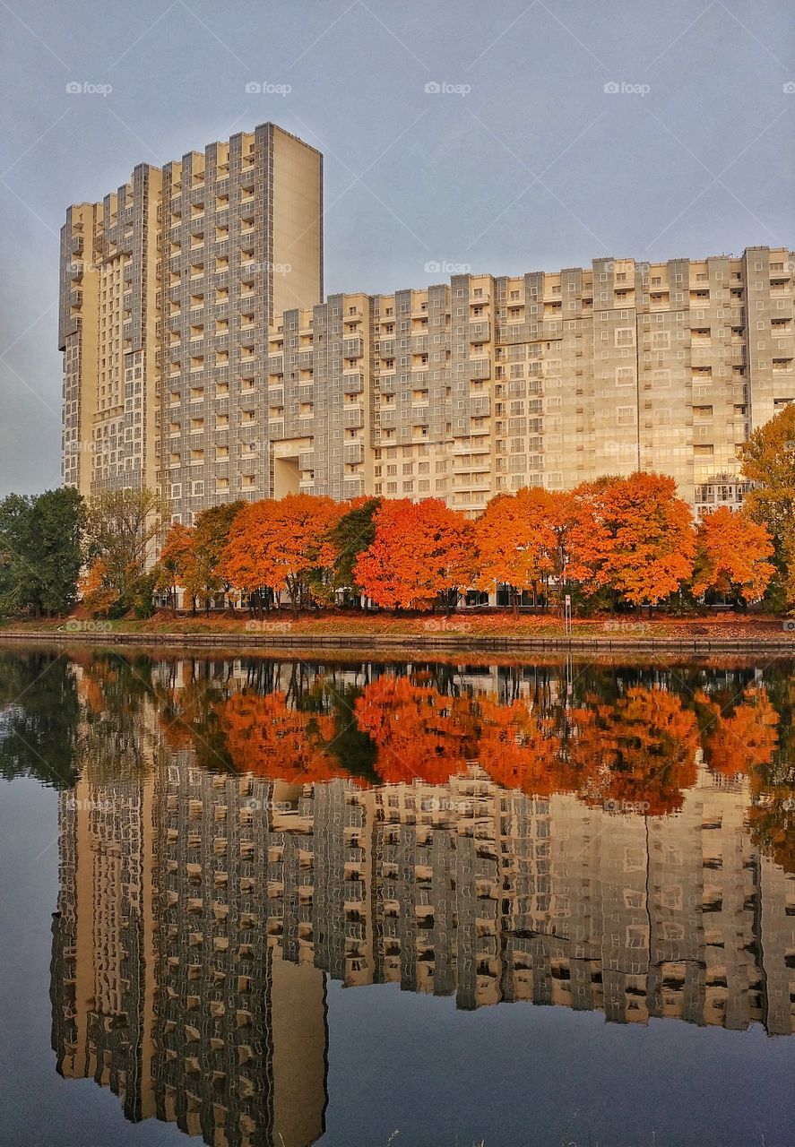 Urban reflection. 