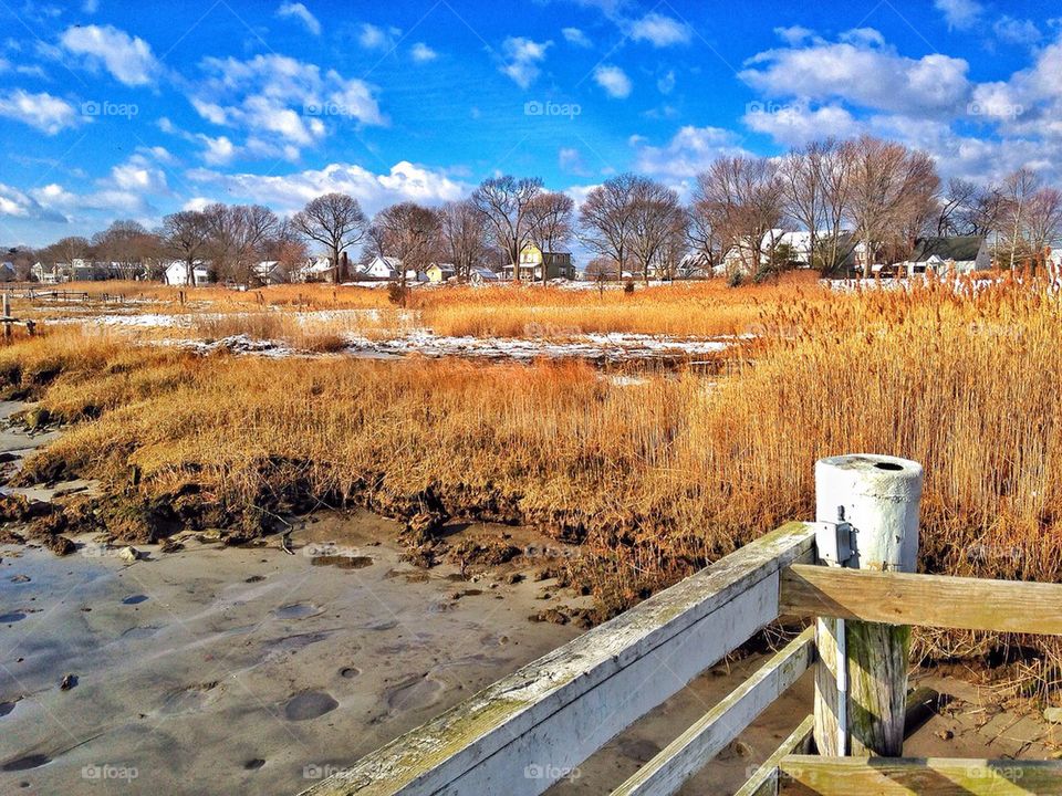 Winter harbour...