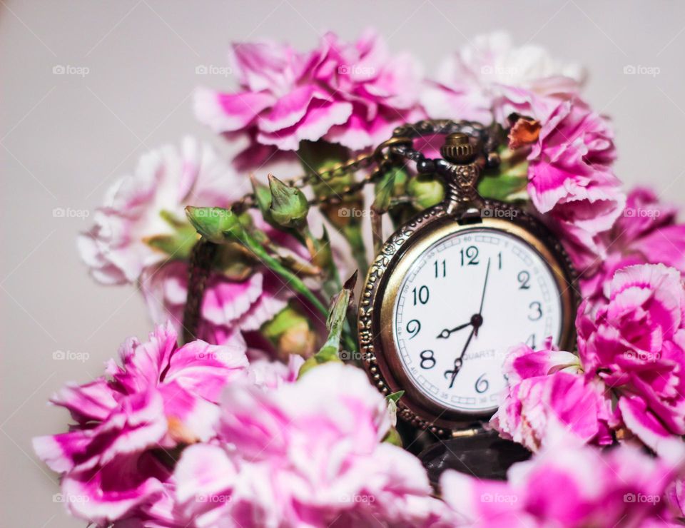 clock time pink flowers 