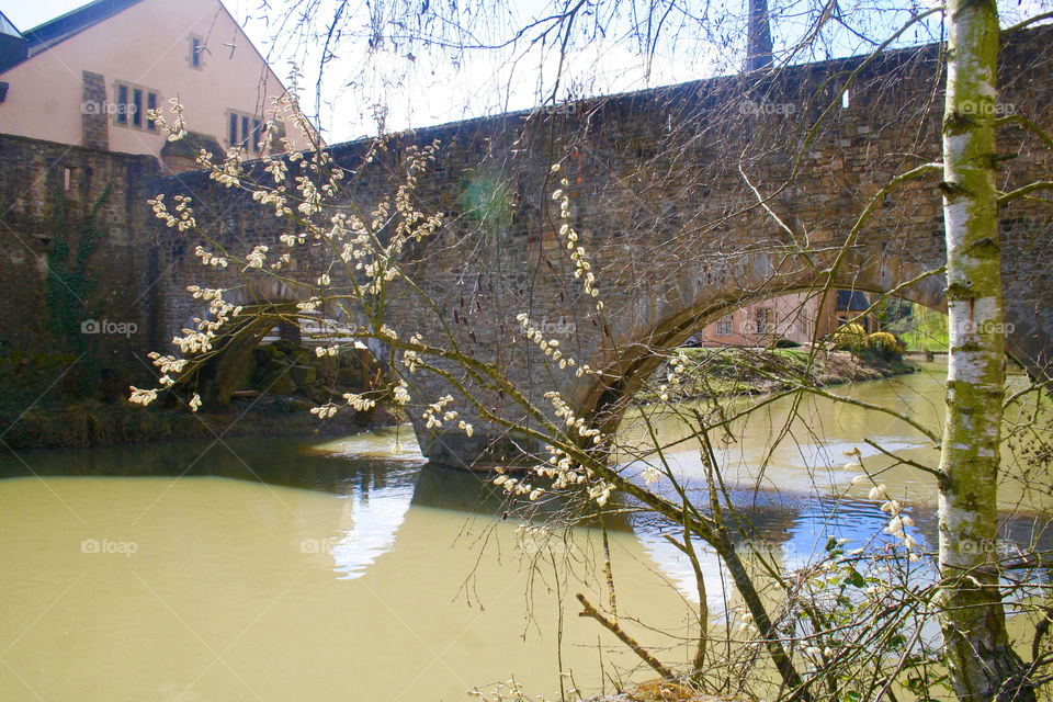 Water, Tree, River, Landscape, Nature