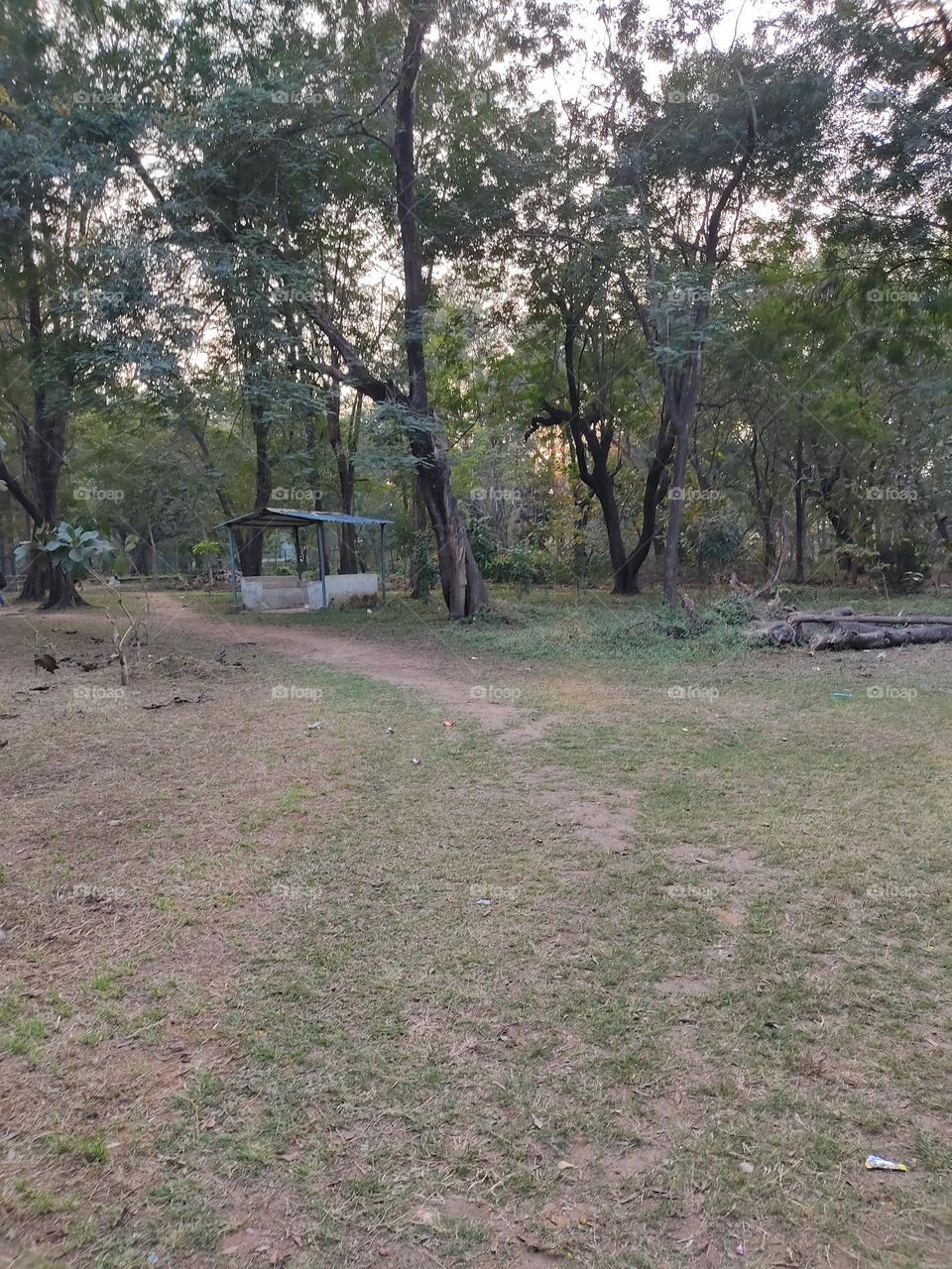 A place to rest for a while📸