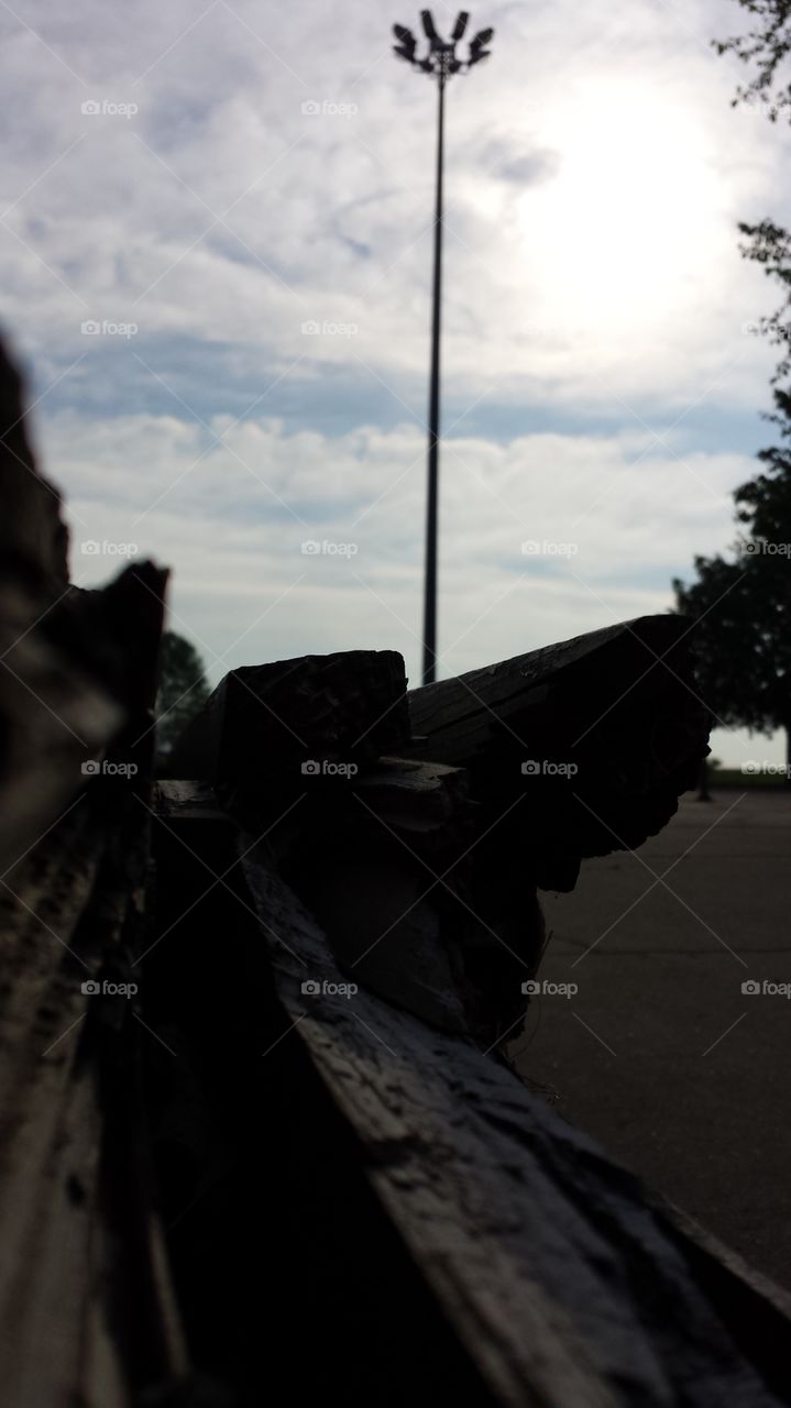 rotten wood. rotten wood at an angle with the sun