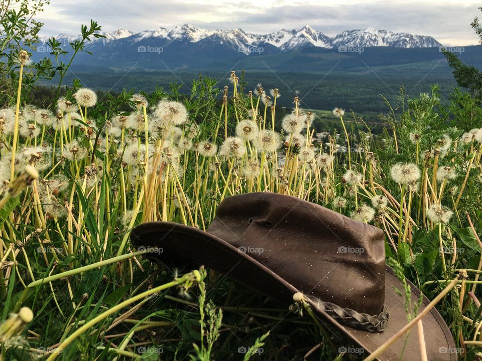 Worm old leather cowboy hat in an alpine meadow with breathtaking view of western Canada's Rocky Mountains near golden British Columbia
