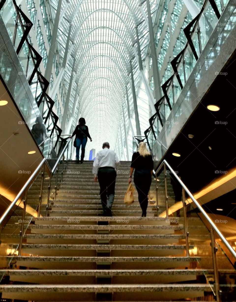 Upward into the light!