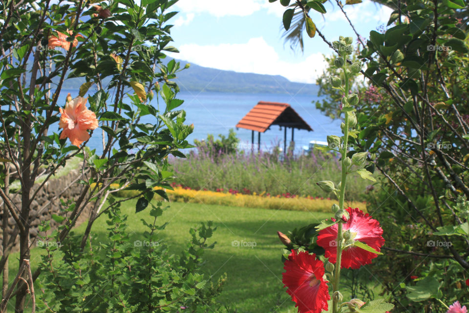 Garden with a View