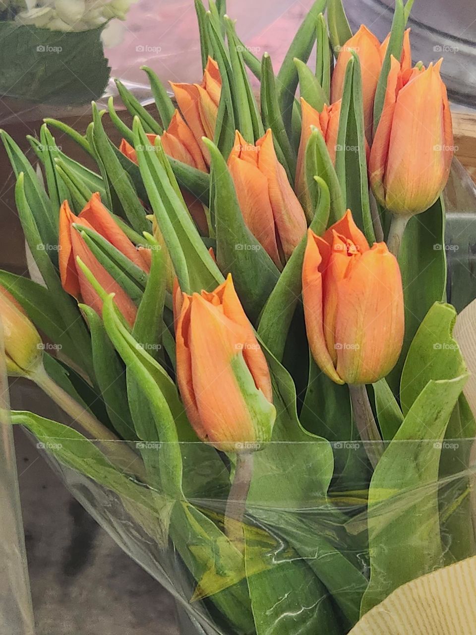 close up of orange tulip bouquet from local market