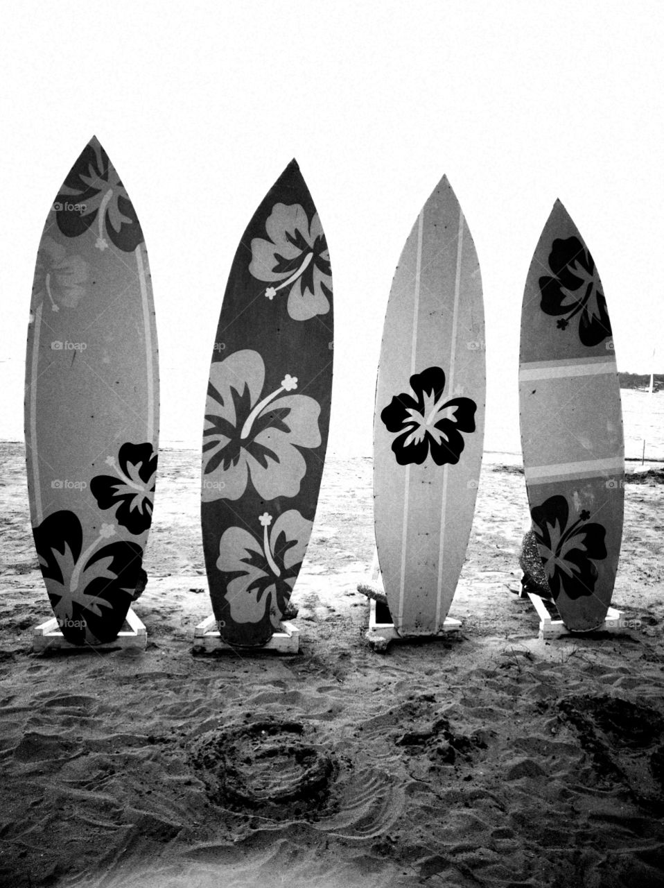 surf.