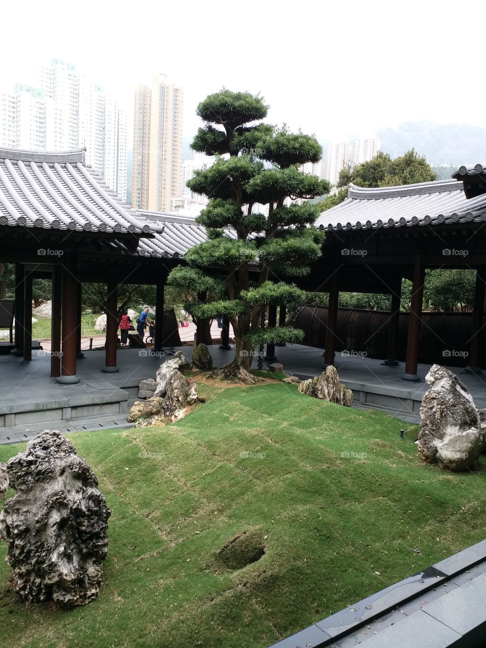 Buddhist garden and temple, HK