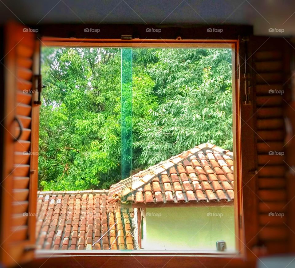 It's great to wake up in the morning to open a new window and see this incredible green, smell the forest and hear the birds singing happily