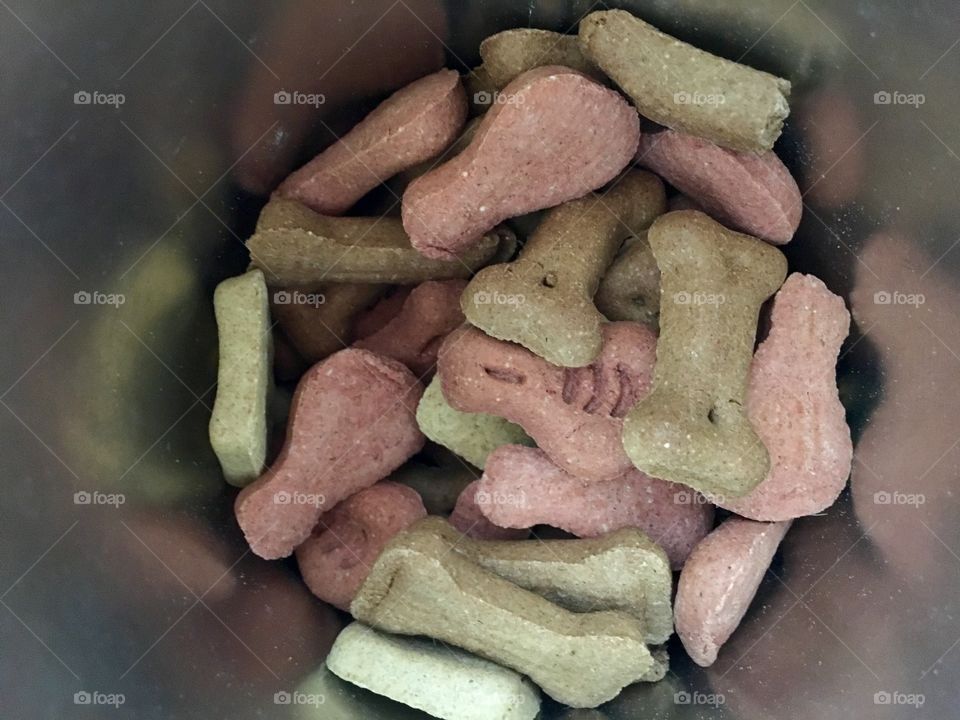 Dog biscuits 