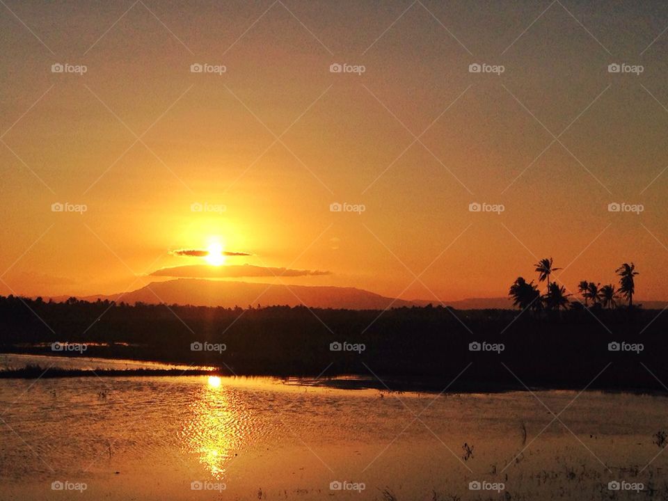 Sunset by the field