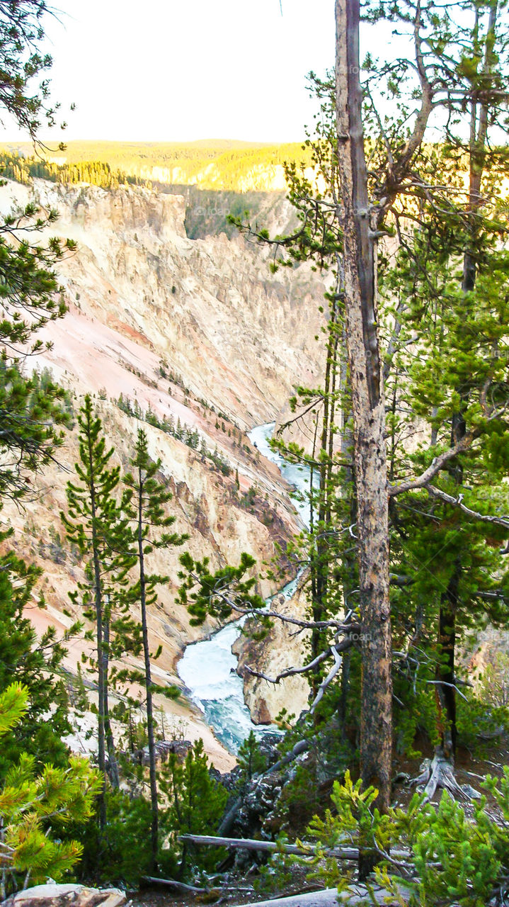 The Grand Canyon of Yellowstone 