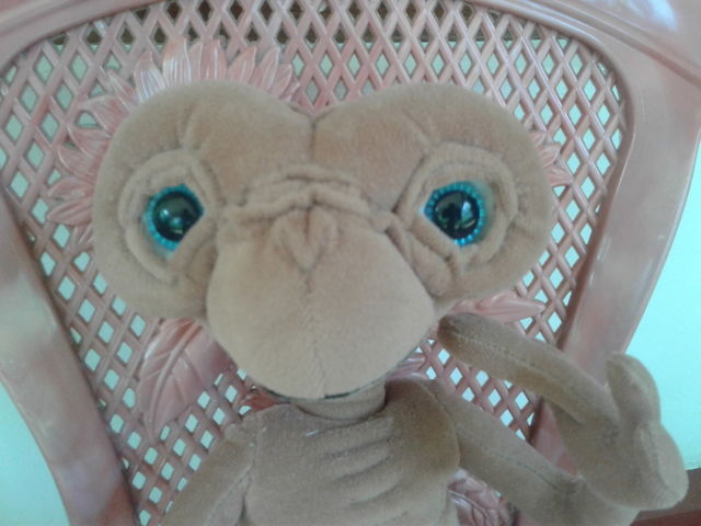 toy