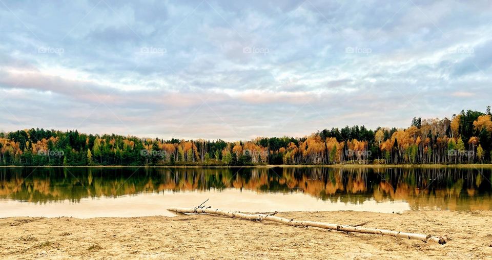Fall foliage reflecting 