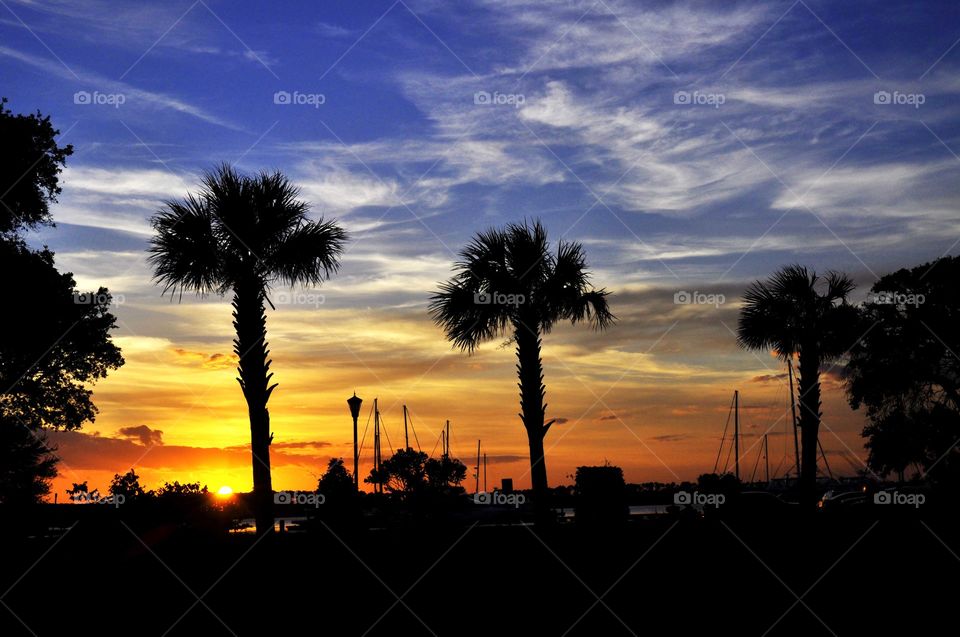 Sunset in Charleston South Carolina. 