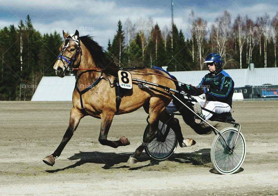 Man ridding horse cart