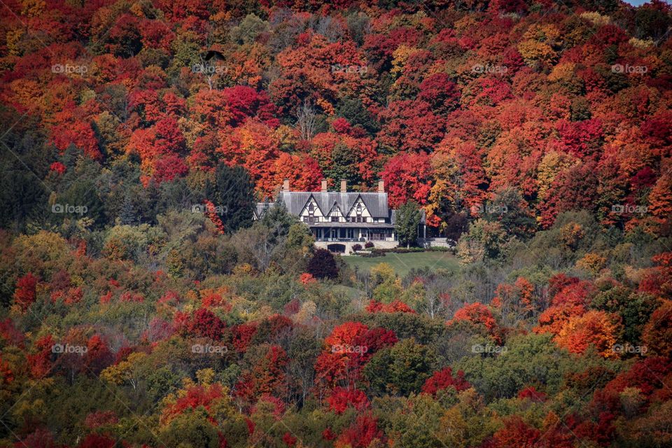 Cottage in a country