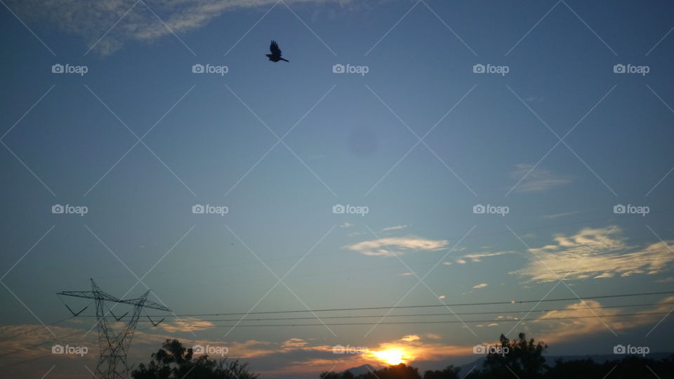 the most beautiful sunset at evening time and deep blue sky and bird