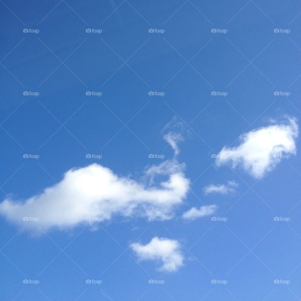 Cloud looks like a flying bird 