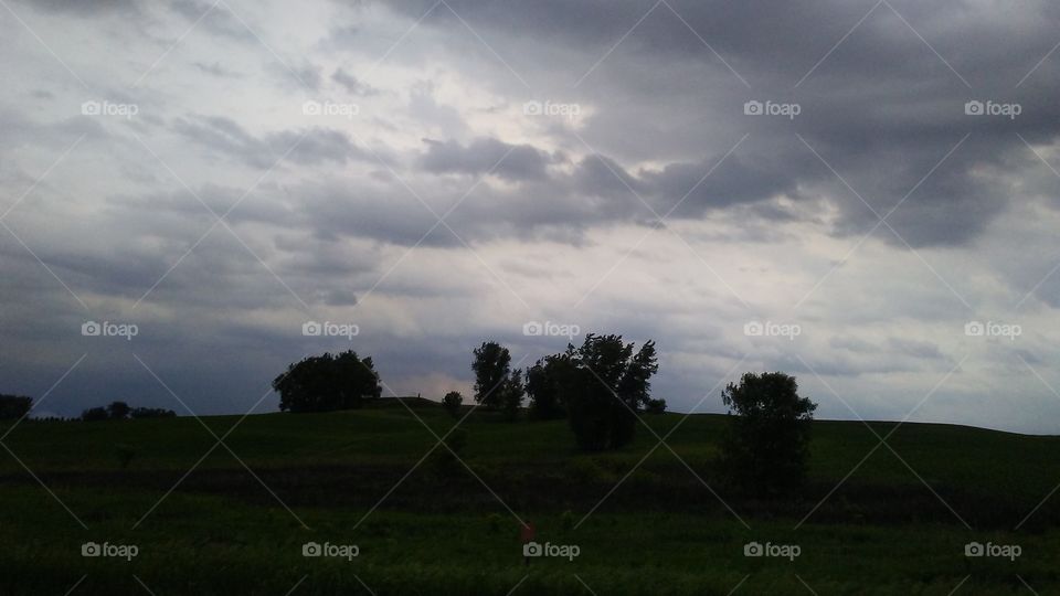 Landscape, No Person, Tree, Sky, Grass