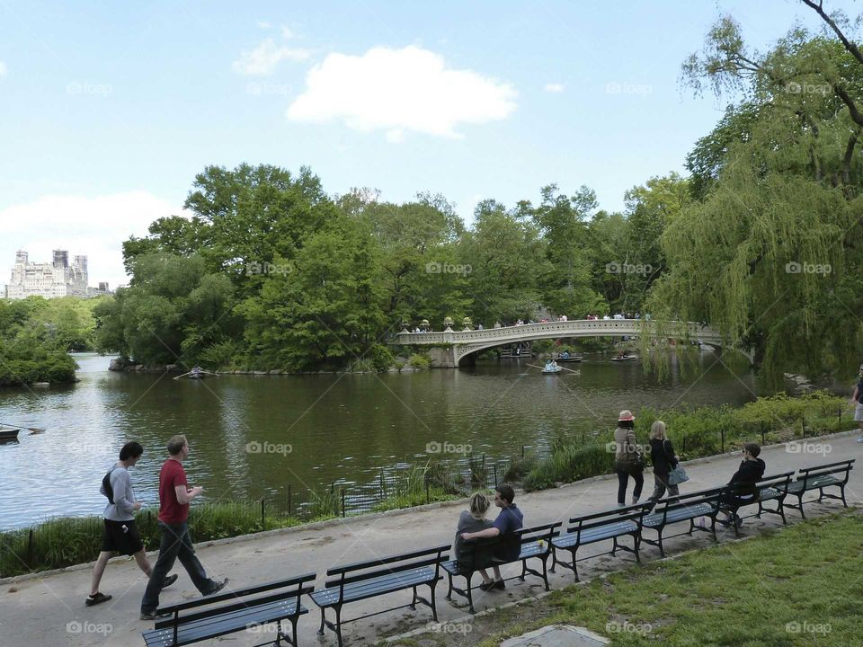bow bridge. bow bridge in central park