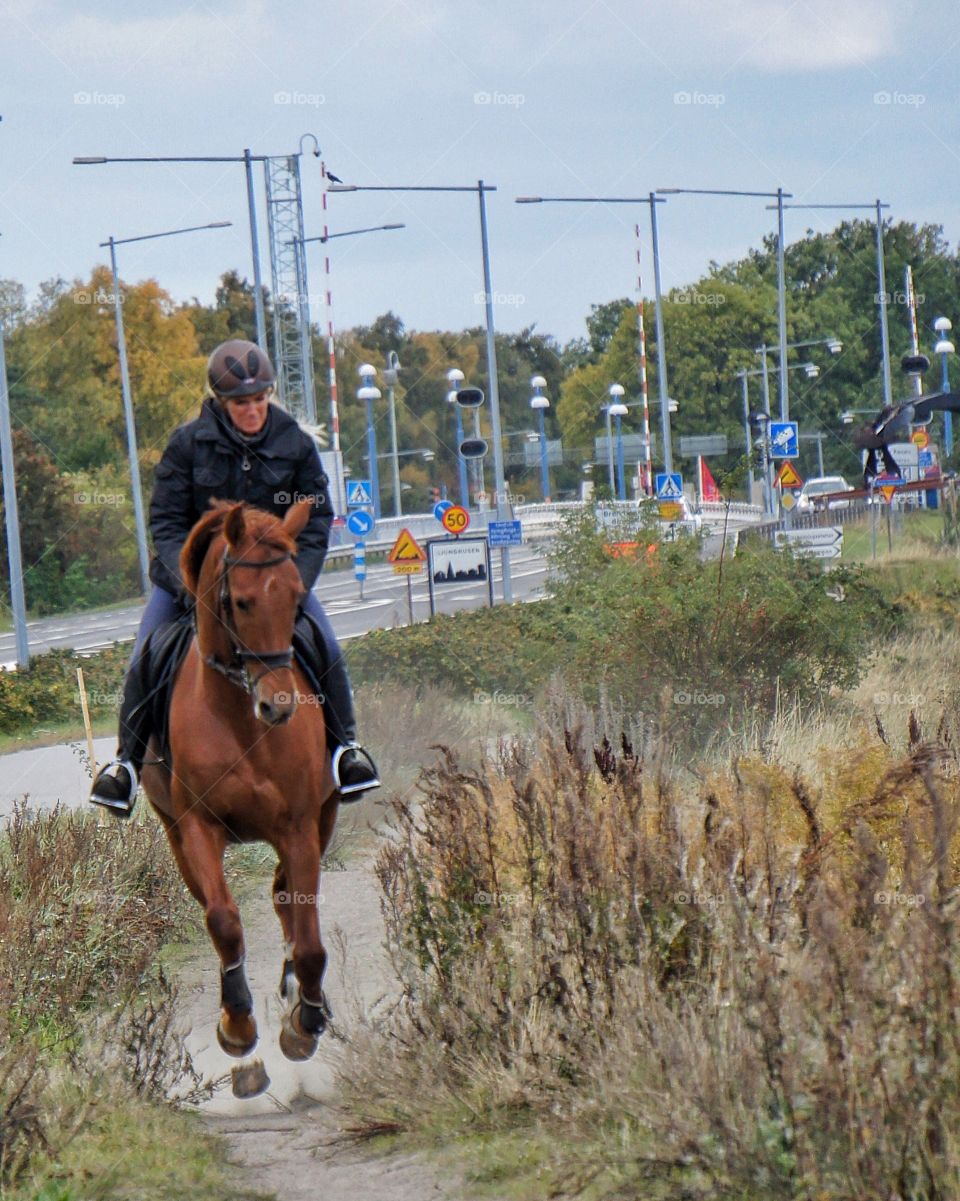 Out & about on a horseback