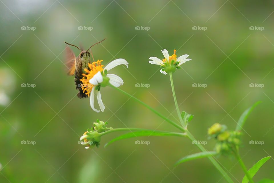 Did U Looking At Me..?