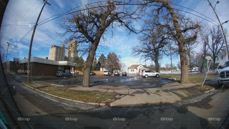 No Person, Road, Tree, Building, Architecture