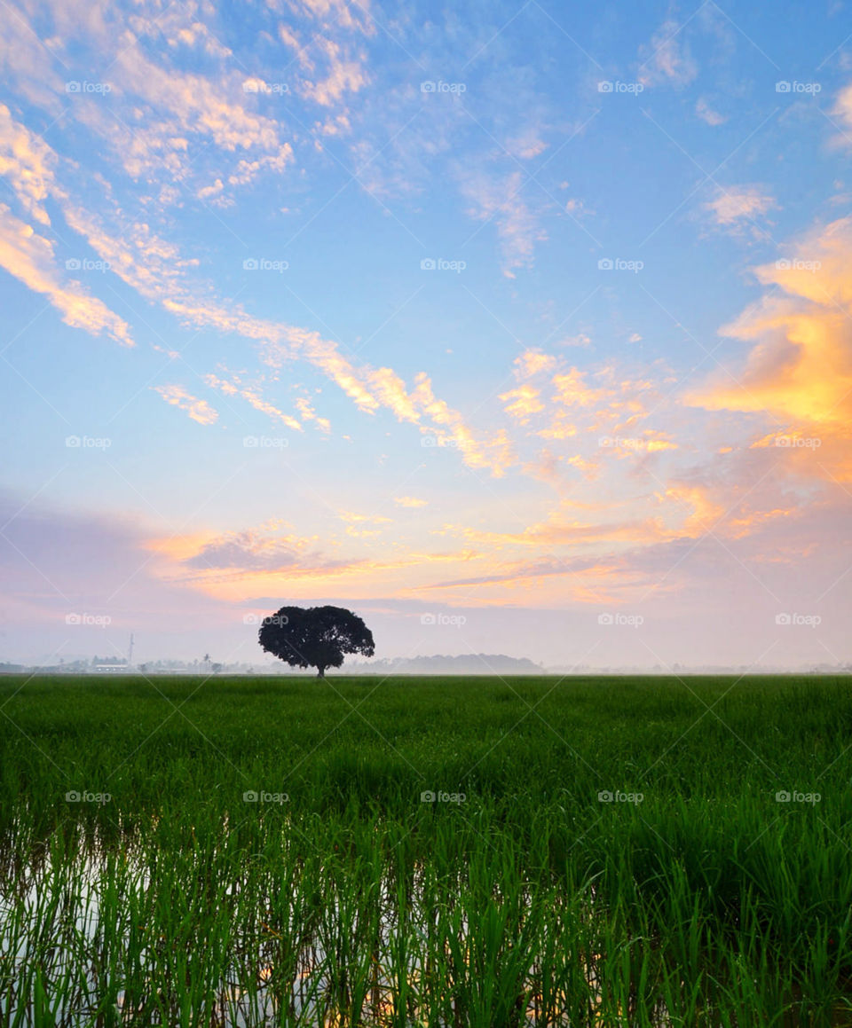 Travel around the world