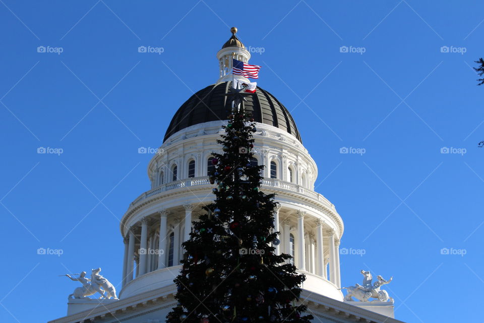 Capitol Christmas tree in downtown Sacramento