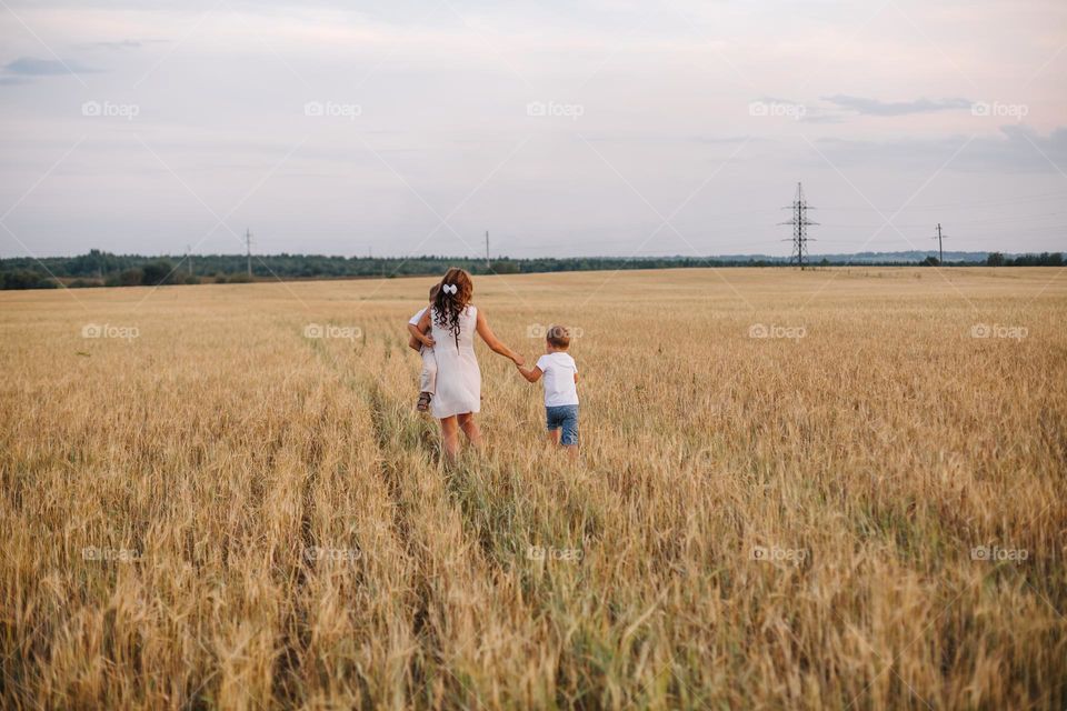 rye fields