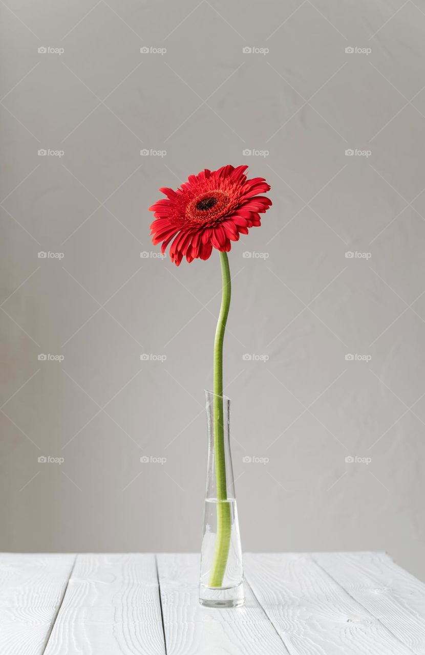 beautiful flowers in the vase