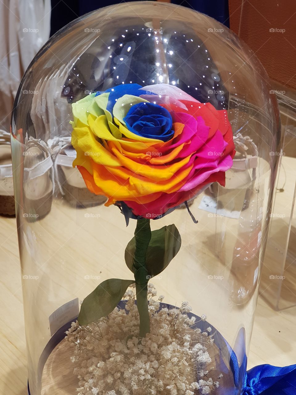 Multicolor Rose in the glass