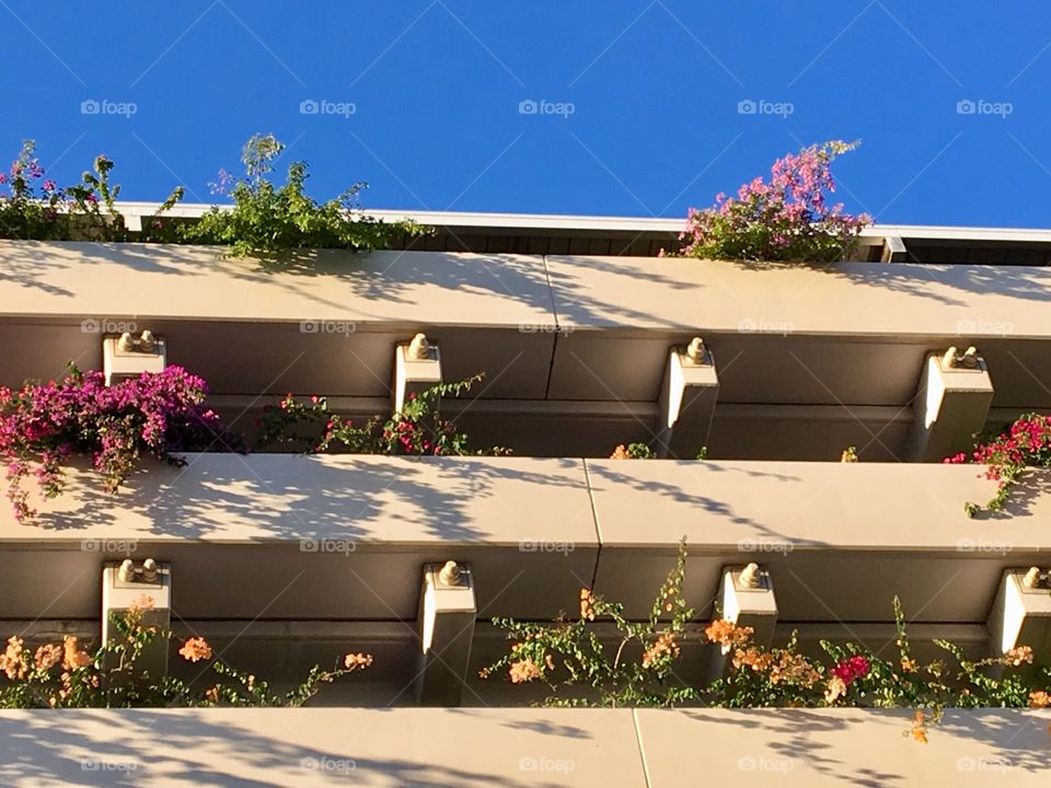Colourful flowers were planted in building for car park.