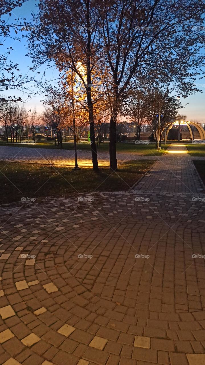 the park corner like a fairy tale In a minute will see elves, fairies and others