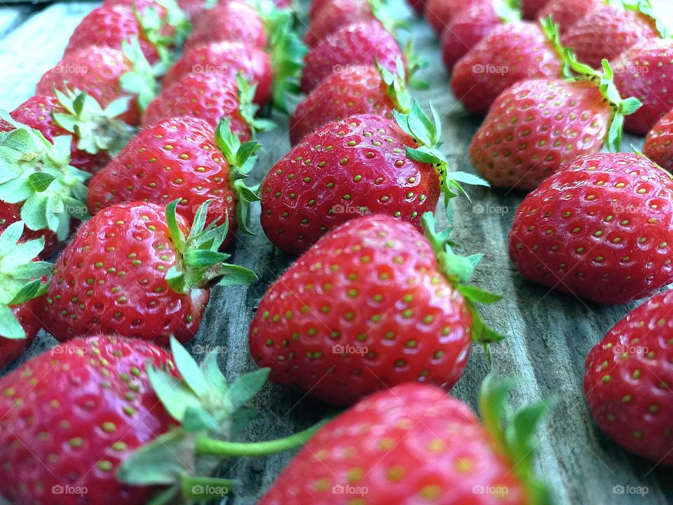 row of red strawberries.