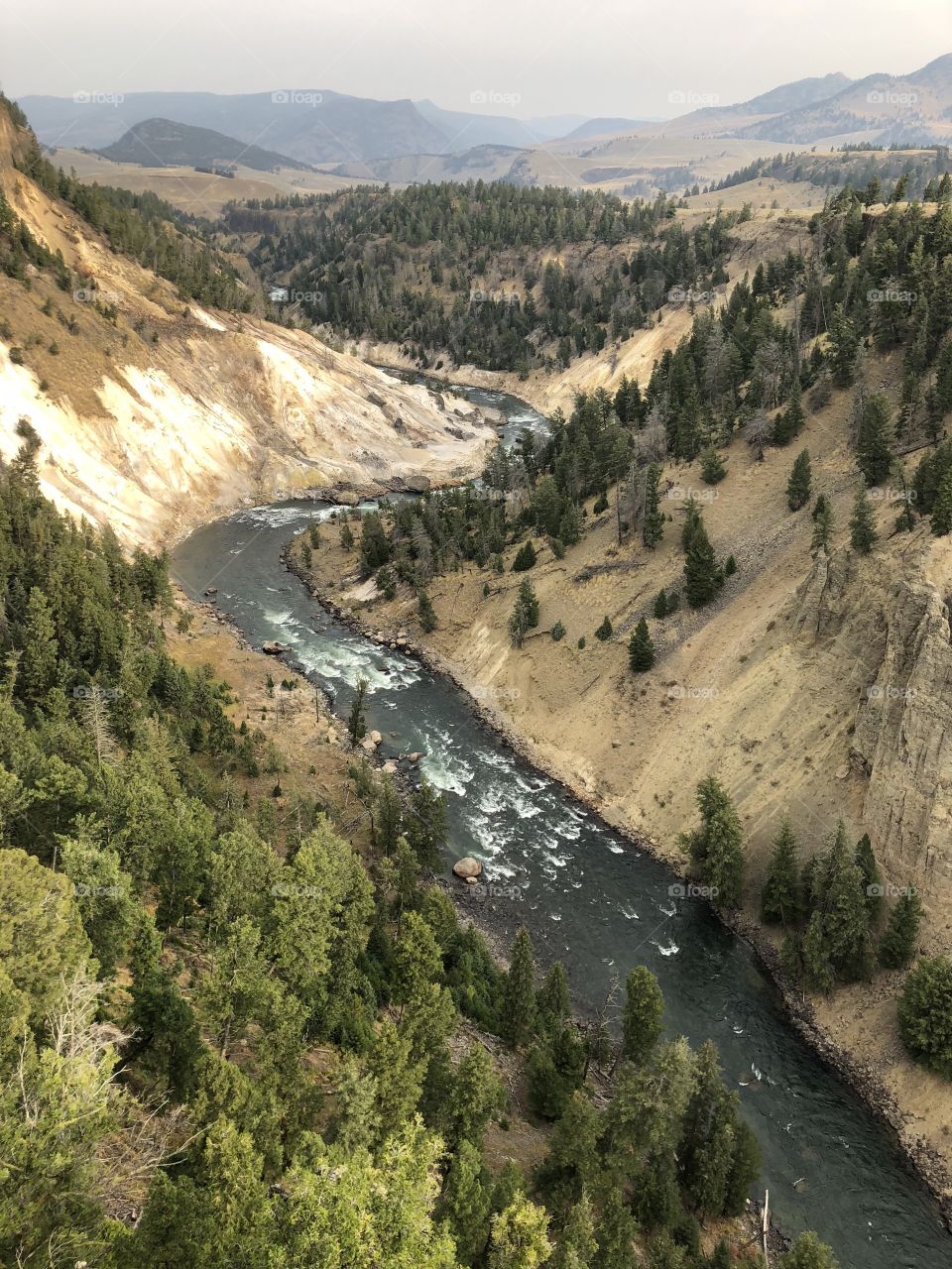 Scenic Yellowstone River