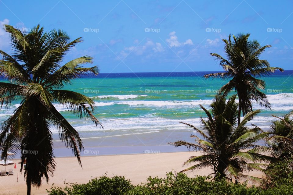 beautiful view of the sea in Brazil