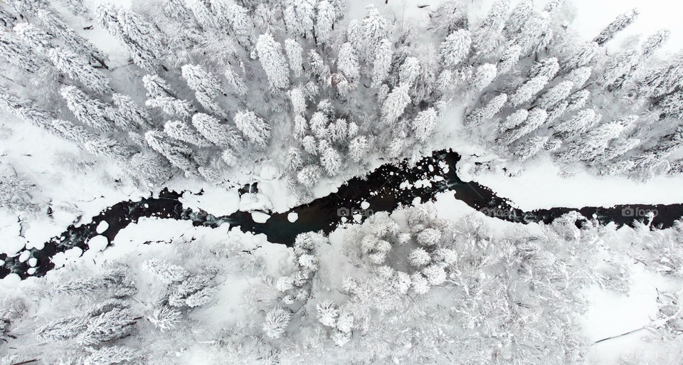 Snow covered forest on the Banks of The  river from a birds eye view