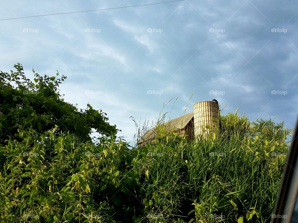 Driving the Back Roads and enjoying everything around us