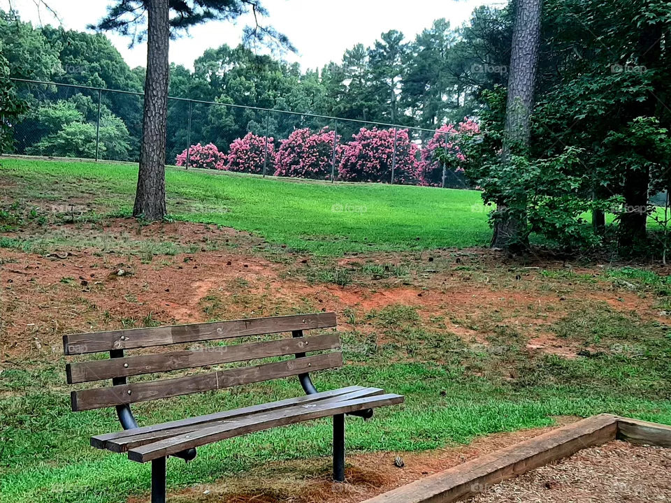 Bench