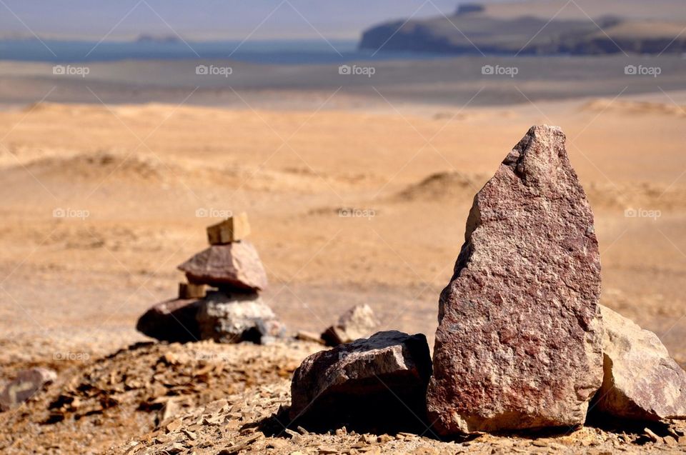 Paracas natural reserve